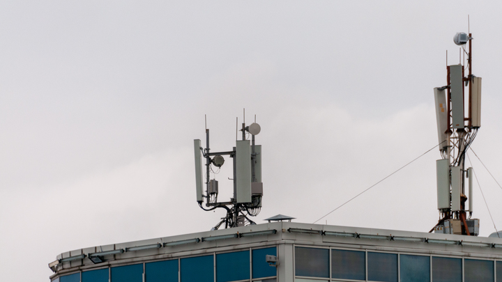 Свердловские власти ввели новую льготу для айтишников перед Новым годом