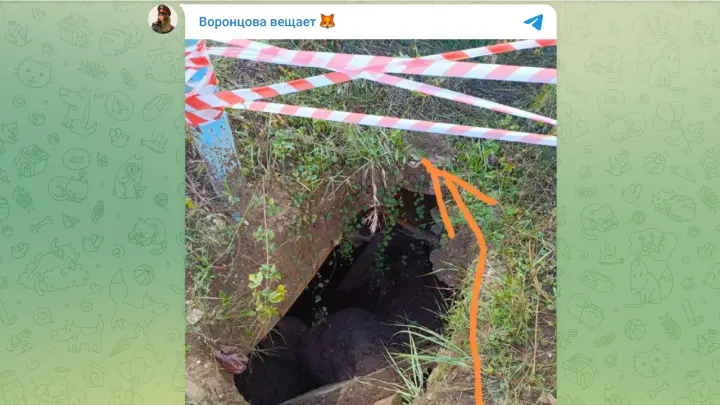 Пенсионерка четыре дня умирала в яме, пока ее никто не слышал