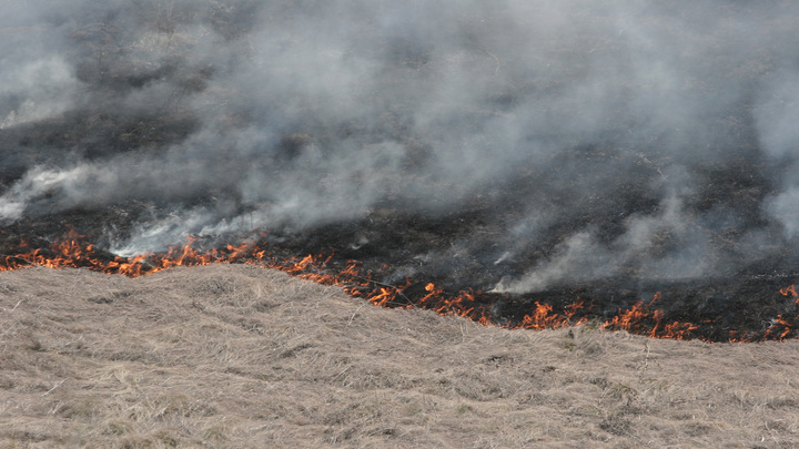 В Анапе полыхает поле сухой травы, огонь подобрался к жилым домам