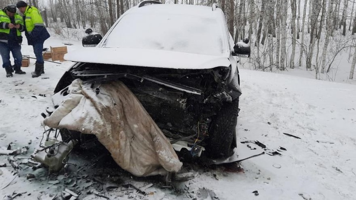 Два человека погибли во время снегопада на трассе в Курганской области