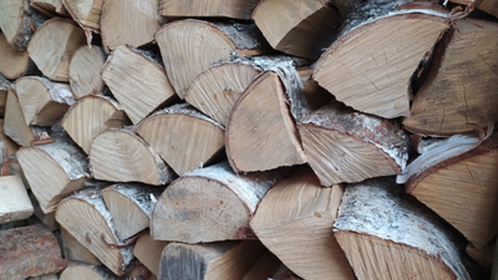 Угольные печи и воры дров: WP без прикрас показал подготовку Европы к зиме без русского газа