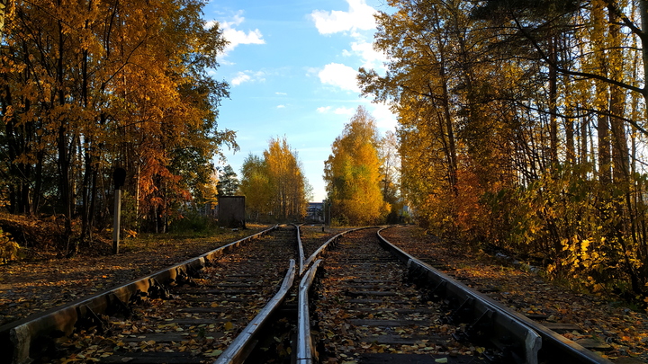 В Белгородской области из-за обстрела со стороны ВСУ приостановлено движение поездов