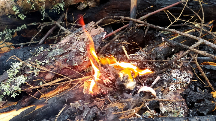 В Туапсинском районе загорелся лес на площади 4 га