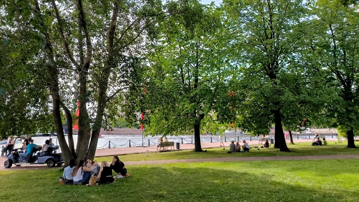 Стало известно, какие парки Подмосковья благоустроят в этом году