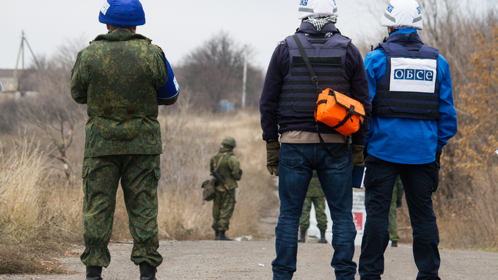 Отчёт ОБСЕ выдал планы ВСУ в Донбассе