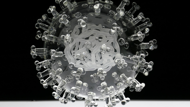 Итальянские врачи заявили о тени коронавируса. Почему русские с этим не согласны?
