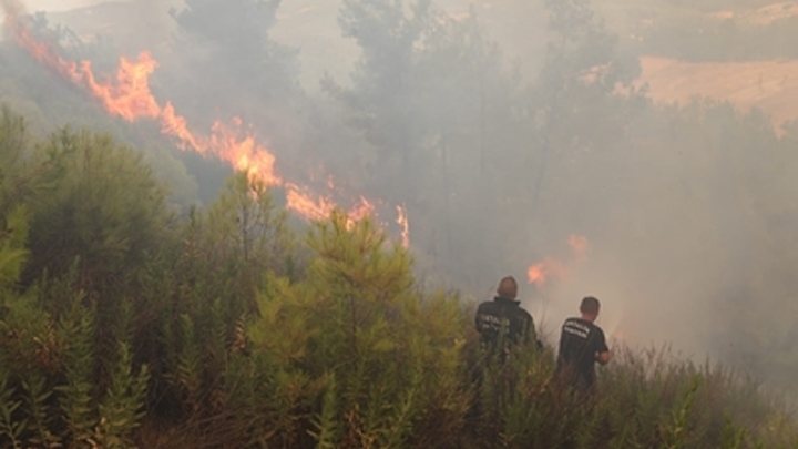 АТОР: Пожары в Турции не смогли повлиять на планы туристов из России