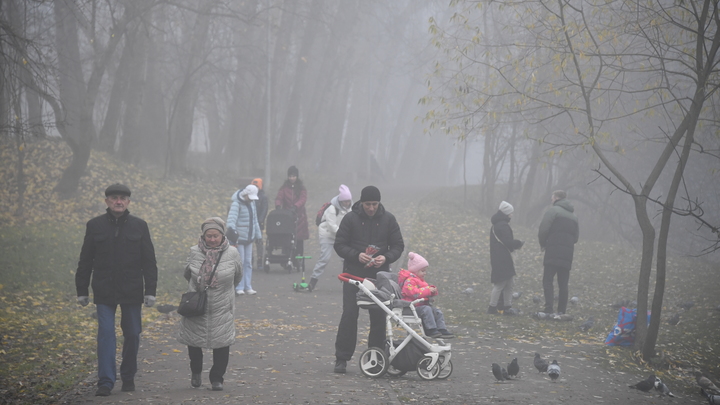 Выплаты на детей от 8 до 16 лет в 2022 году в Ростове: Кому положены, размер пособий, когда начислят