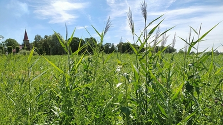 Как справиться с жарой в России: Советы врача