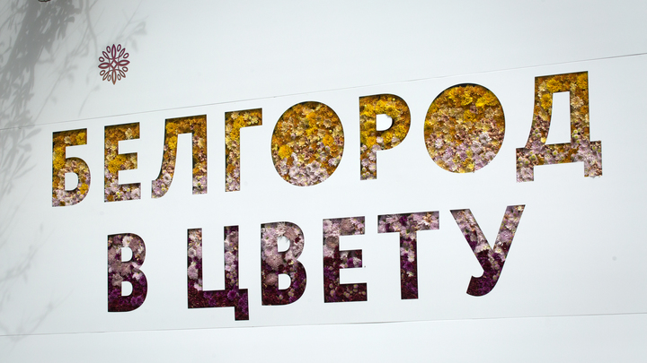 Свечение над Белгородом: теории и версии, рассказы очевидцев