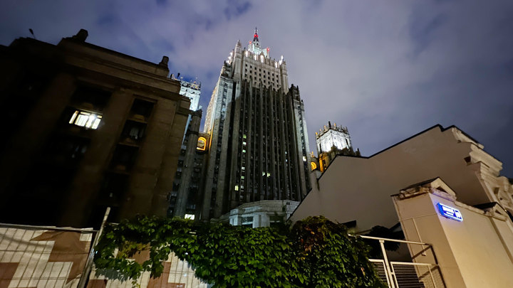 Если власти ФРГ тронут...: Русские дипломаты послали Германии недвусмысленный сигнал