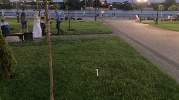 В Краснодаре ребенок сломал ключицу, играя в новом сквере на Юбилейном