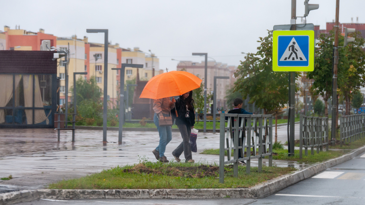 В Самарской области потеплеет, но будет дождливо