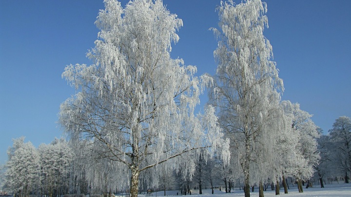 В Нижегородской области сегодня днём прогнозируется до 16 градусов мороза