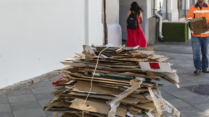 Экомарафон Сдай макулатуру – спаси дерево! начнётся в Нижегородской области с 15 ноября