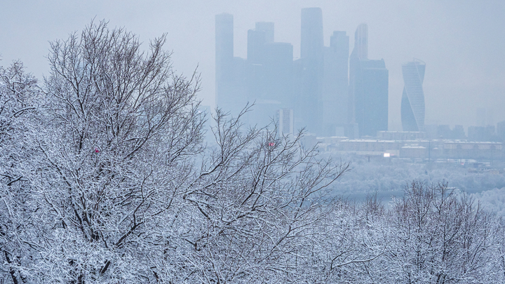 Народные приметы на 19 февраля – Вукола Телятник: что можно и нельзя делать