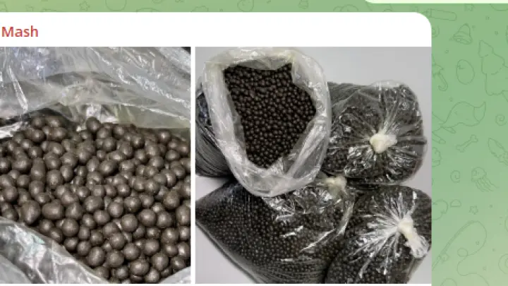 Семь кило куриного помета провез мигрант на самолете на Урал