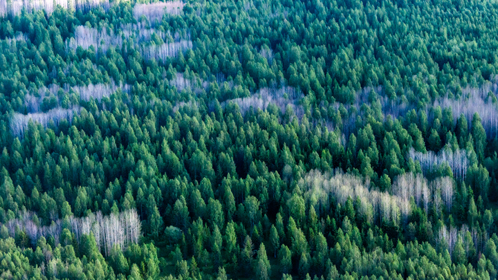 Как сейчас живёт Агафья Лыкова. Падение ракеты - последняя новость об отшельнице