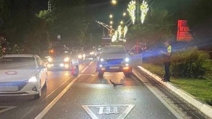 В Сочи разыскивают очевидцев июльского смертельного ДТП