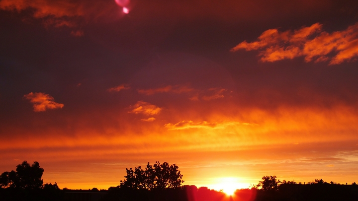 Точку поставит Пангея Ультима: Учёные рассказали, сколько осталось жить человечеству