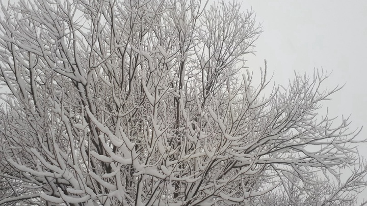 Народные приметы на 5 февраля – Агафьин день: как провести «Полухлебник»