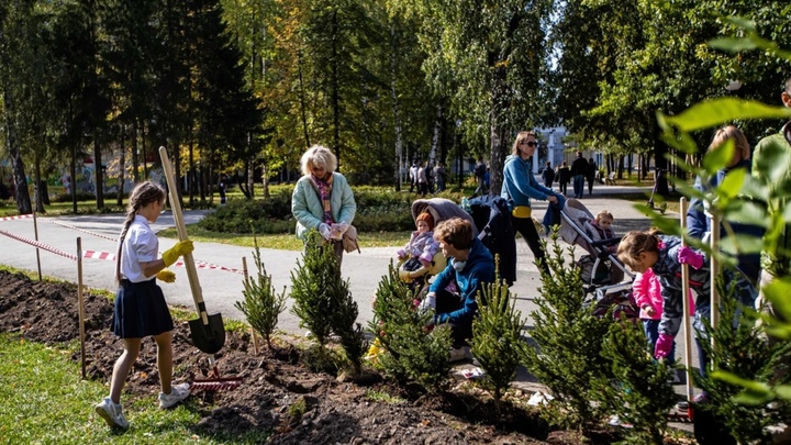 В Центральном парке Новосибирска высадили 40 елей