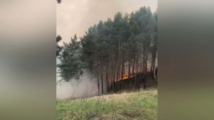 В кемеровском Серебряном бору загорелась трава
