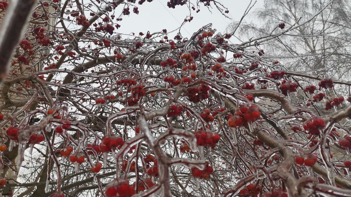 Гололедица и до 7 градусов мороза ожидаются в Москве 7 декабря