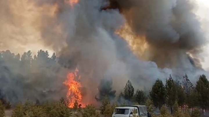 Режим ЧС ввели в Шилкинском районе Забайкалья из-за крупного лесного пожара
