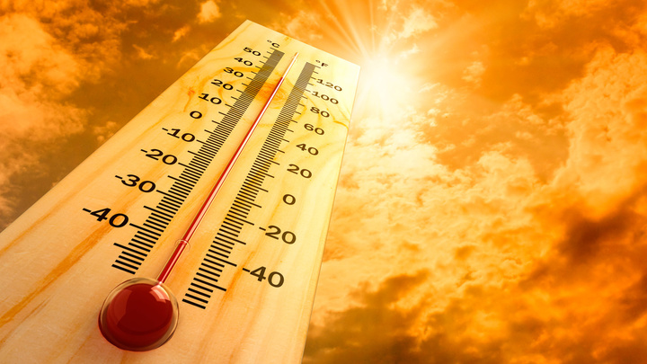 МЧС предупредило об аномальной жаре в Петербурге