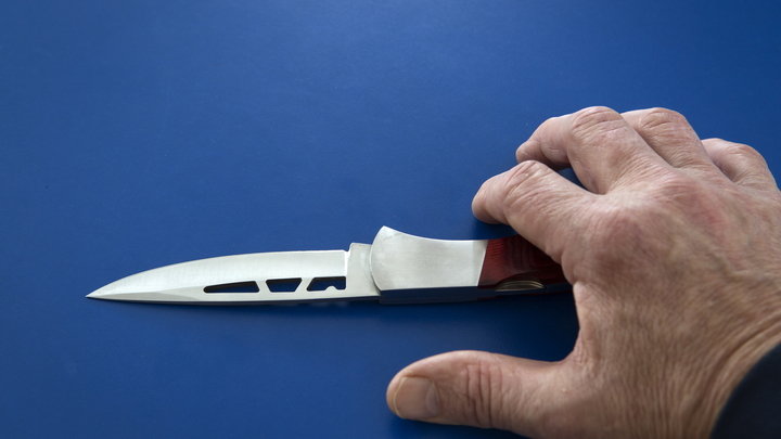 Мама и бабушка истекают кровью: О кровавой драме с мигрантом в Подмосковье сообщил ребёнок