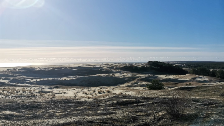 Задержан директор нацпарка Куршская коса Анатолий Калина: что известно
