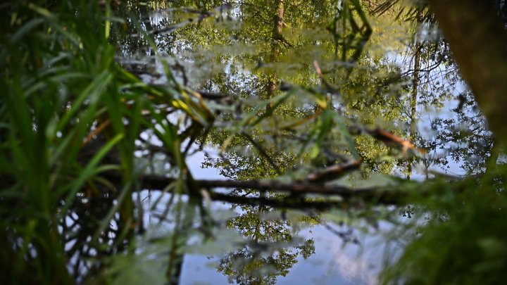 Финские школьники, сбежавшие с экскурсии, пересекли границу с Россией