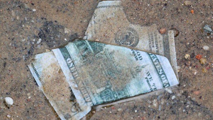 Хитрый пассажир попался с зеленью в зелёном коридоре Внуково