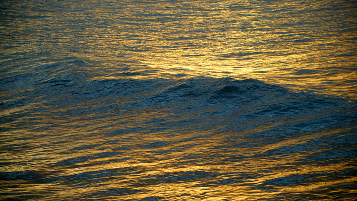 Учёные прогнозируют сокращение океанских течений на 40 процентов к 2050 году