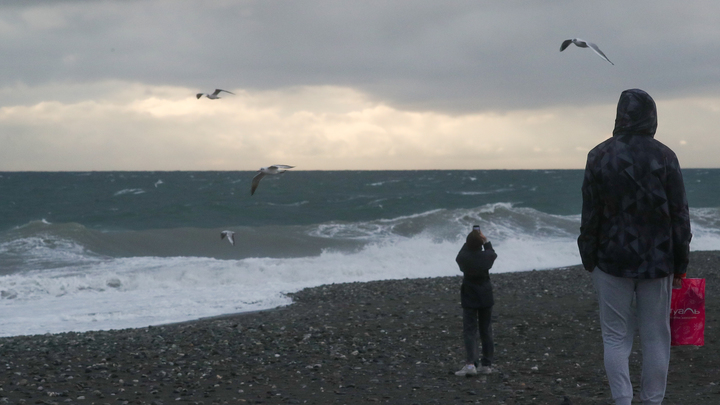В Новосибирске перечислили пляжи перед началом купального сезона