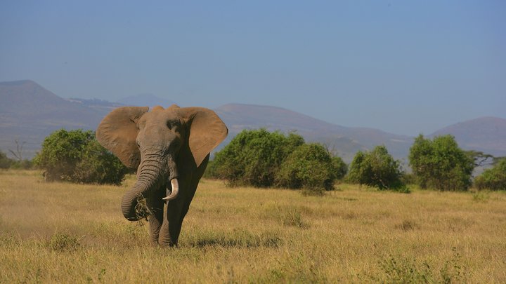 Африка раскалывается: новый океан формируется быстрее, чем думали учёные