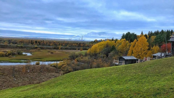 На 596,5 га в Архангельской области нашли нарушения земельного законодательства