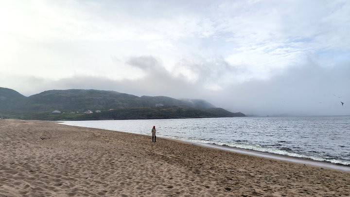 Глава СК Бастрыкин держит на контроле дело об убийстве женщины на пляже в Сочи