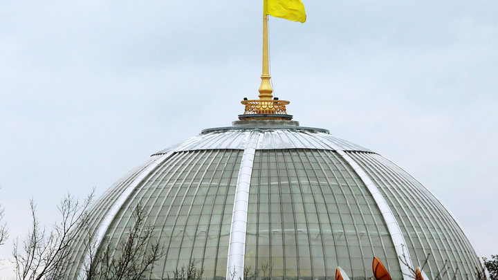 Донбасс получит мир? Украина пообещала выполнить договорённости нормандской четвёрки