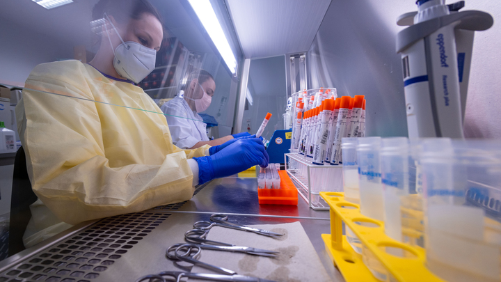 Прирост ковид-больных во Владимирской области снизился до 79 случаев за сутки