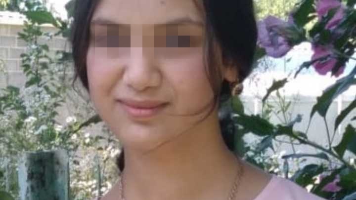 СК занялся исчезновением девочки, которая могла бежать из Краснодарского края в Ростов