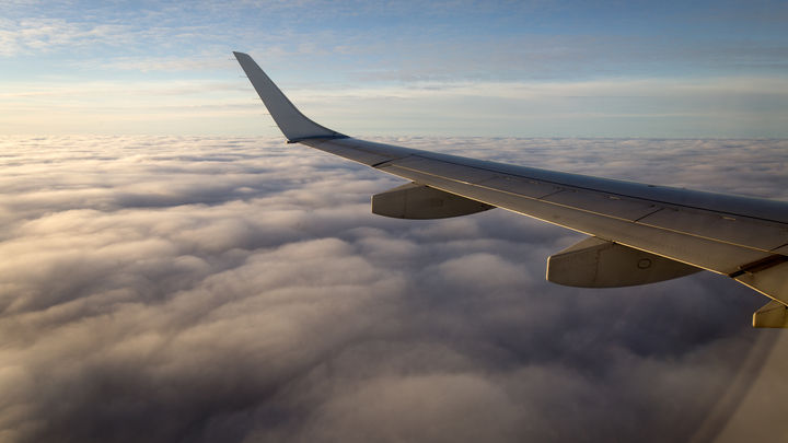 Ждите или добирайтесь, как хотите: Турецкая авиакомпания бросила пассажиров в Пулково