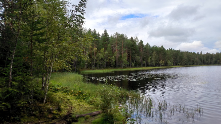 Свердловские власти выделили деньги на очистку водохранилищ, из которых пьёт Екатеринбург