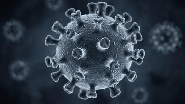 Вирус, который есть у 95% людей, может запускать рассеянный склероз