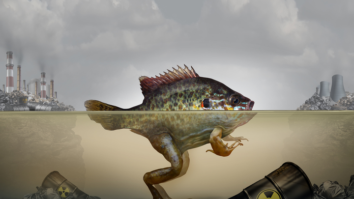 Около 9,3 миллиона пластика в год: Названа самая замусоренная полимерами страна