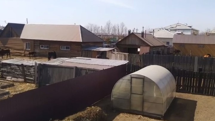 Родители в Чите обратились к президенту из-за соседства коней и детсада