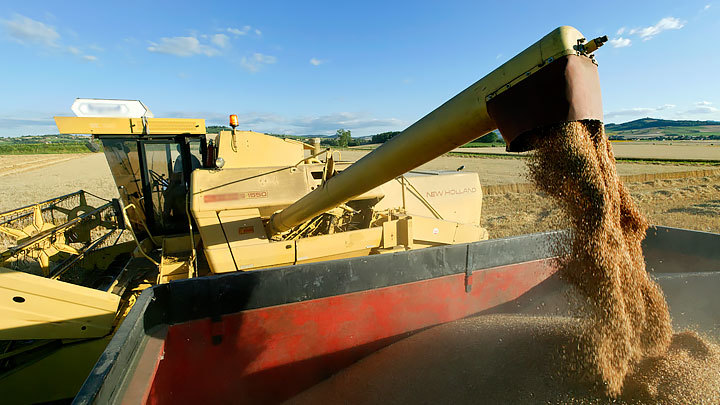 Безопасность превыше всего: Иностранцам нет места на нашем зерновом рынке