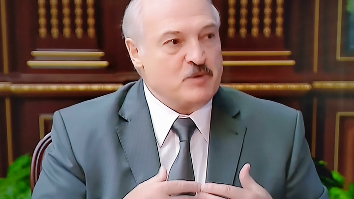 "Хотят потерять работу - потеряют": Лукашенко жёстко ответил всем забастовщикам "Хотят потерять работу - потеряют": Лукашенко жёстко ответил всем забастовщикам