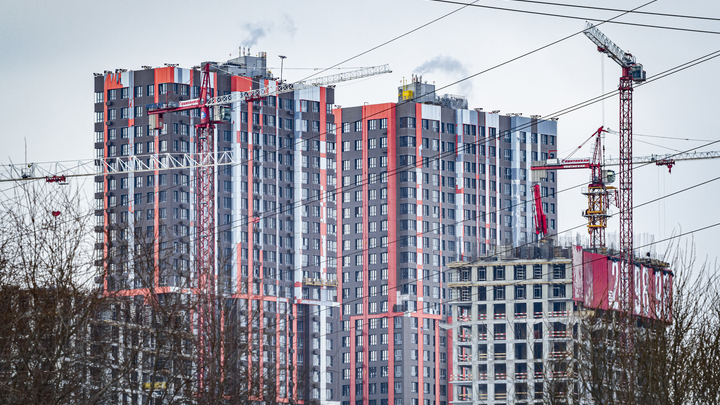 Будет как в Москве. Новый Генплан Петербурга предполагает застройку полей в пригороде